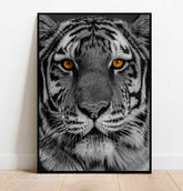 Golden Stare | Tiger Face Portrait Wall Art Print - Print